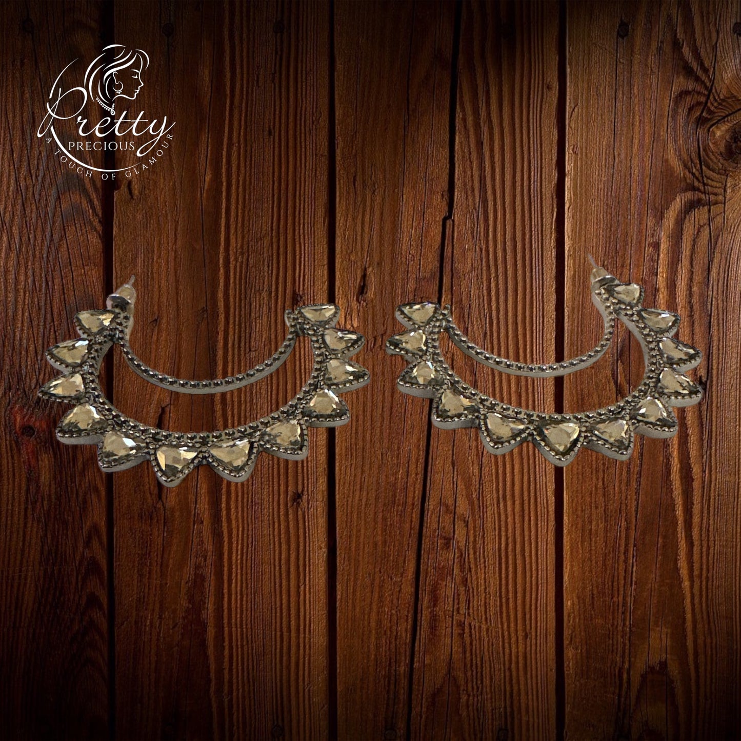 WEARW91359 Classic Western Earrings