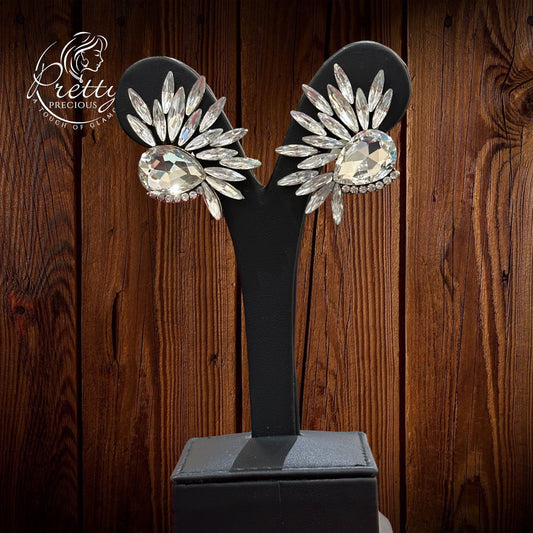 EARRW91409-Western Style Earrings