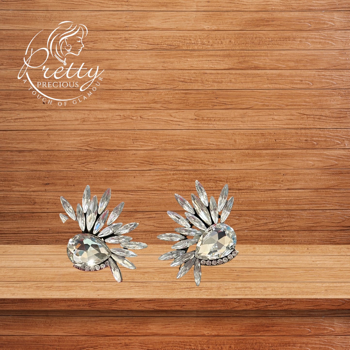 EARRW91409-Western Style Earrings