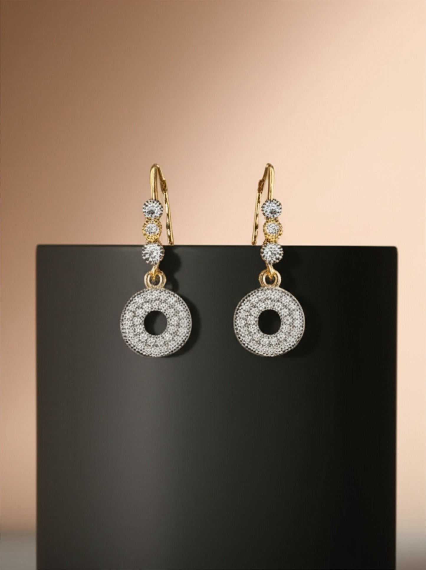 417620 CZ Earring With 2 Tone Plating