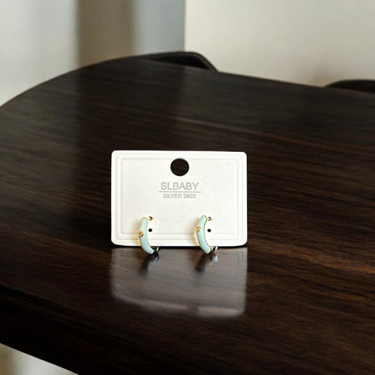 EARRW91309-Western Style Earrings