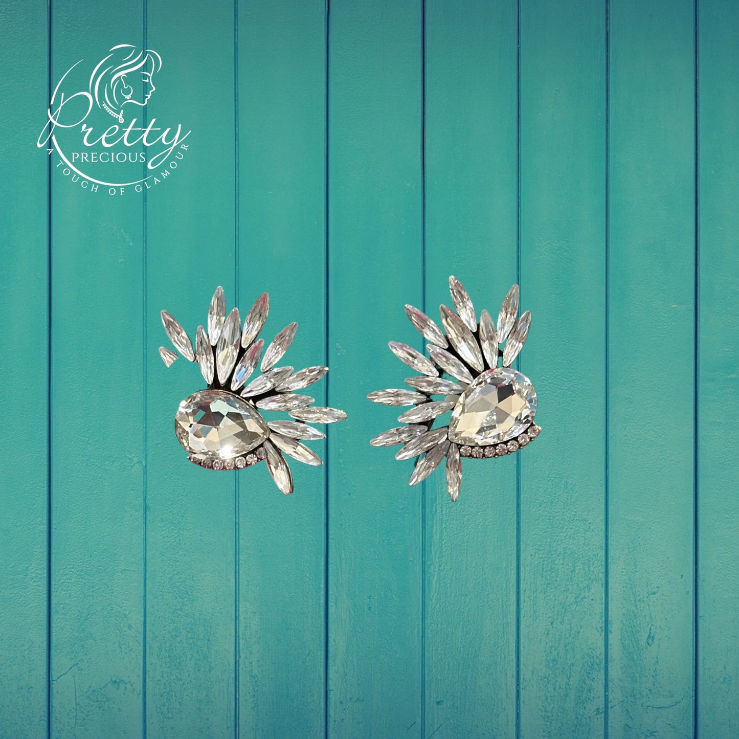 EARRW91409-Western Style Earrings