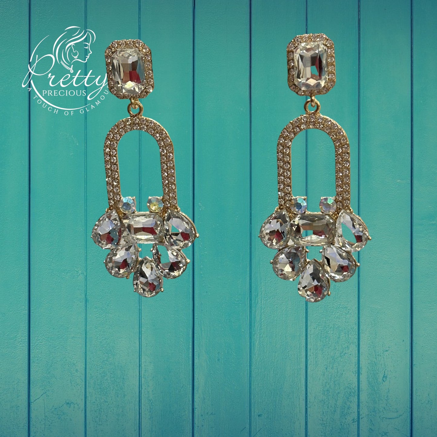 EARRW91709-Western Style Earrings